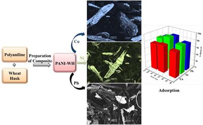 Highly Efficient PANI-WH Novel Composite for Remediation of Ni(II), Pb(II), and Cu(II) From Wastewater